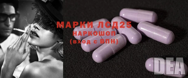 спиды Аркадак
