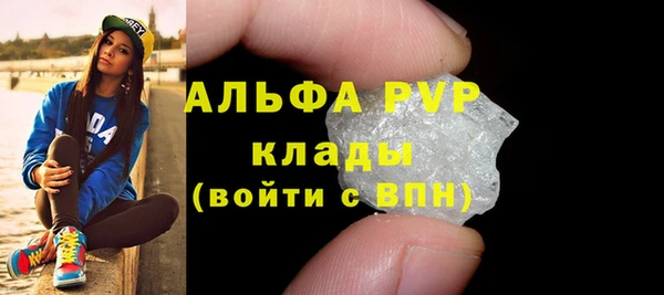 Альфа ПВП Новозыбков