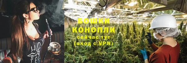 гашик Новодвинск